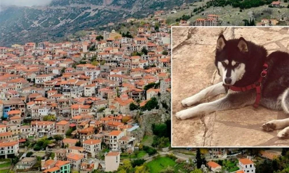 Εκπρόσωπος Τύπου της ΕΛΑΣ για Όλιβερ: Kαταθέσεις και βίντεο δεν «δείχνουν» ως αιτία τον ανθρώπινο παράγοντα